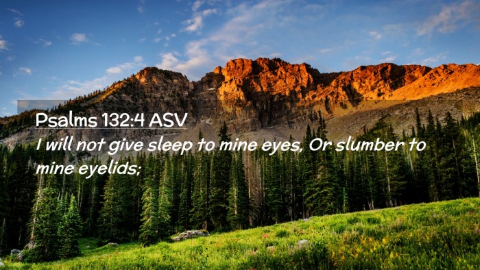 Picture 02 - Psalms 132:4 ASV Desktop Wallpaper - I will not give sleep to mine eyes, Or slumber to - Desktop Bible Verse Wallpaper
