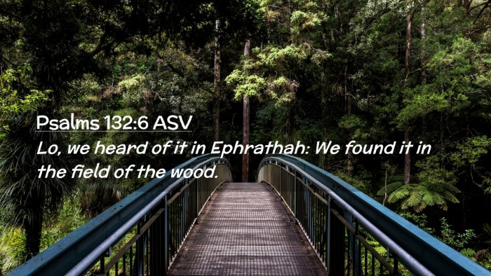Picture 02 - Psalms 132:6 ASV Desktop Wallpaper - Lo, we heard of it in Ephrathah: We found it in - Desktop Bible Verse Wallpaper