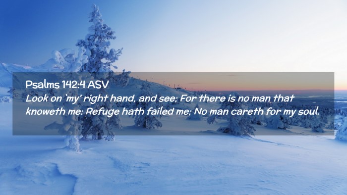 Picture 02 - Psalms 142:4 ASV Desktop Wallpaper - Look on `my' right hand, and see; For there is no - Desktop Bible Verse Wallpaper