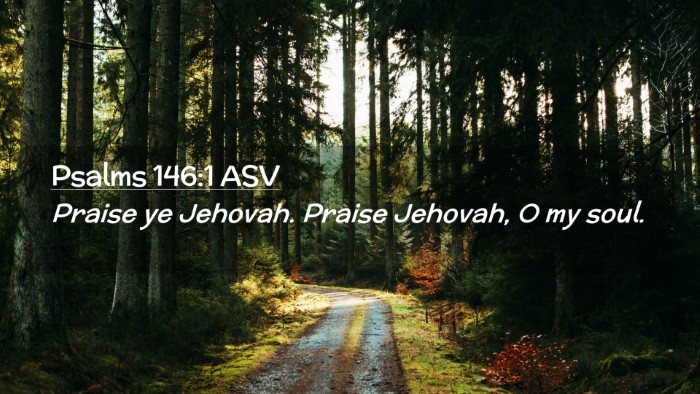 Picture 02 - Psalms 146:1 ASV Desktop Wallpaper - Praise ye Jehovah. Praise Jehovah, O my - Desktop Bible Verse Wallpaper