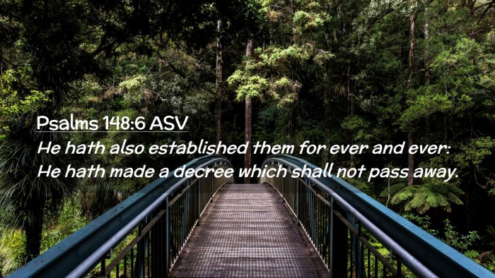 Picture 02 - Psalms 148:6 ASV Desktop Wallpaper - He hath also established them for ever and ever: - Desktop Bible Verse Wallpaper