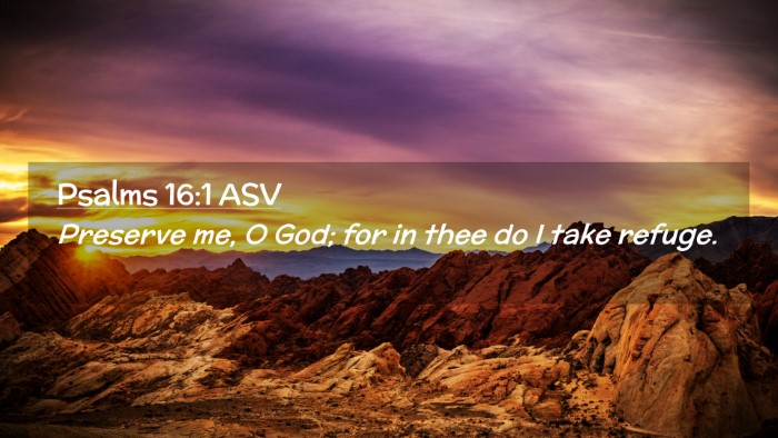 Picture 02 - Psalms 16:1 ASV Desktop Wallpaper - Preserve me, O God; for in thee do I take - Desktop Bible Verse Wallpaper