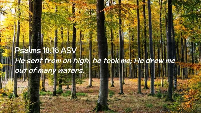 Picture 02 - Psalms 18:16 ASV Desktop Wallpaper - He sent from on high, he took me; He drew me out - Desktop Bible Verse Wallpaper