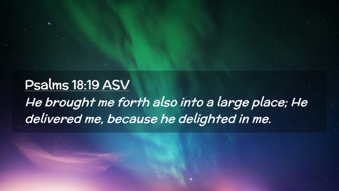 Picture 02 - Psalms 18:19 ASV Desktop Wallpaper - He brought me forth also into a large place; He - Desktop Bible Verse Wallpaper
