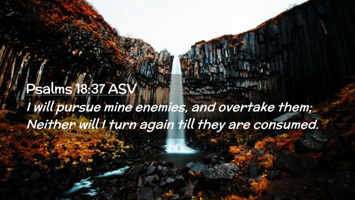Picture 02 - Psalms 18:37 ASV Desktop Wallpaper - I will pursue mine enemies, and overtake them; - Desktop Bible Verse Wallpaper