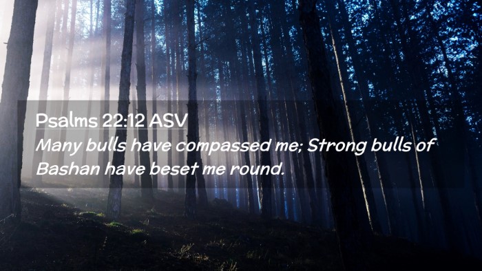 Picture 02 - Psalms 22:12 ASV Desktop Wallpaper - Many bulls have compassed me; Strong bulls of - Desktop Bible Verse Wallpaper