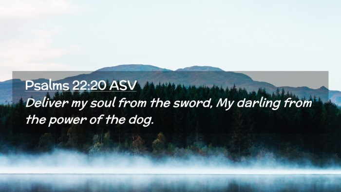 Picture 02 - Psalms 22:20 ASV Desktop Wallpaper - Deliver my soul from the sword, My darling from - Desktop Bible Verse Wallpaper