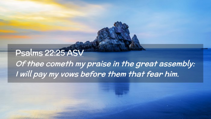 Picture 02 - Psalms 22:25 ASV Desktop Wallpaper - Of thee cometh my praise in the great assembly: I - Desktop Bible Verse Wallpaper