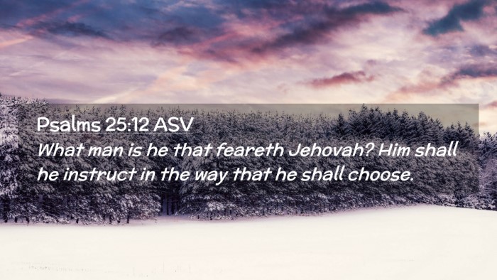 Picture 02 - Psalms 25:12 ASV Desktop Wallpaper - What man is he that feareth Jehovah? Him shall he - Desktop Bible Verse Wallpaper