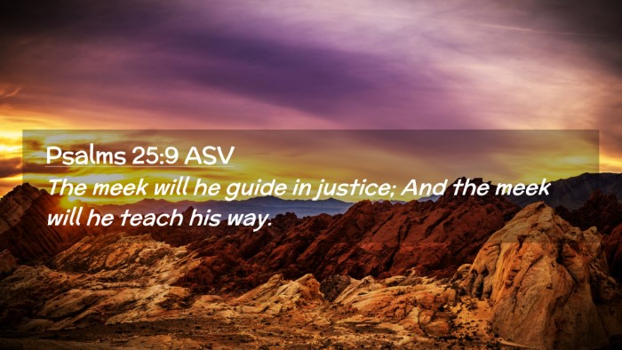 Picture 02 - Psalms 25:9 ASV Desktop Wallpaper - The meek will he guide in justice; And the meek - Desktop Bible Verse Wallpaper