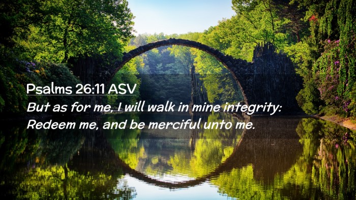 Picture 02 - Psalms 26:11 ASV Desktop Wallpaper - But as for me, I will walk in mine integrity: - Desktop Bible Verse Wallpaper