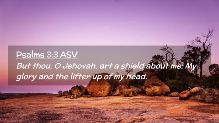 Picture 02 - Psalms 3:3 ASV Desktop Wallpaper - But thou, O Jehovah, art a shield about me; My - Desktop Bible Verse Wallpaper