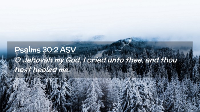Picture 02 - Psalms 30:2 ASV Desktop Wallpaper - O Jehovah my God, I cried unto thee, and thou - Desktop Bible Verse Wallpaper