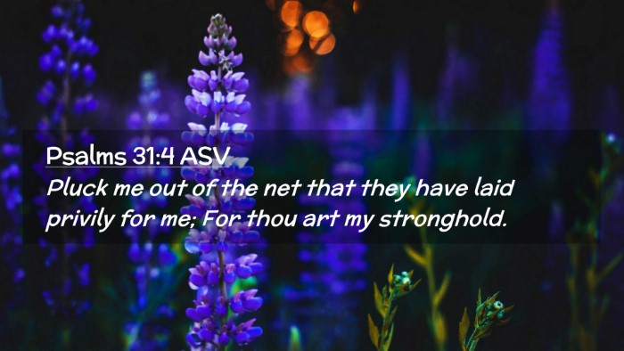 Picture 02 - Psalms 31:4 ASV Desktop Wallpaper - Pluck me out of the net that they have laid - Desktop Bible Verse Wallpaper