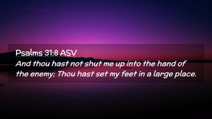 Picture 02 - Psalms 31:8 ASV Desktop Wallpaper - And thou hast not shut me up into the hand of the - Desktop Bible Verse Wallpaper