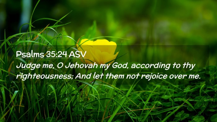 Picture 02 - Psalms 35:24 ASV Desktop Wallpaper - Judge me, O Jehovah my God, according to thy - Desktop Bible Verse Wallpaper