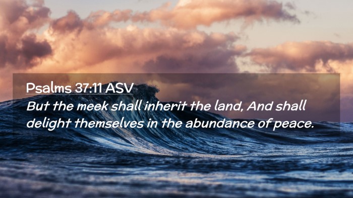 Picture 02 - Psalms 37:11 ASV Desktop Wallpaper - But the meek shall inherit the land, And shall - Desktop Bible Verse Wallpaper