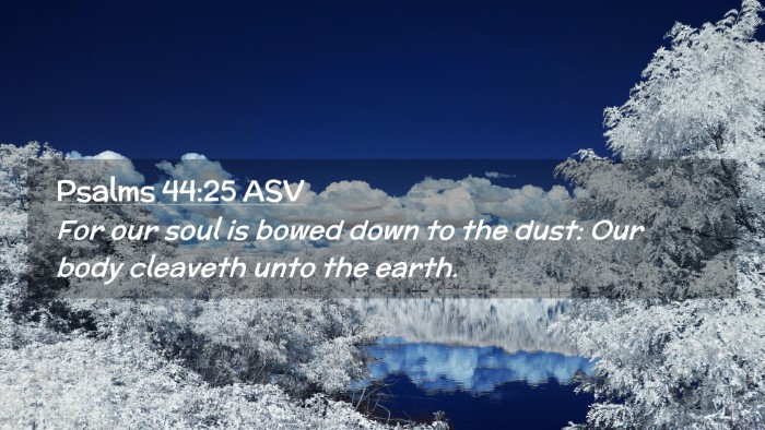 Picture 02 - Psalms 44:25 ASV Desktop Wallpaper - For our soul is bowed down to the dust: Our body - Desktop Bible Verse Wallpaper