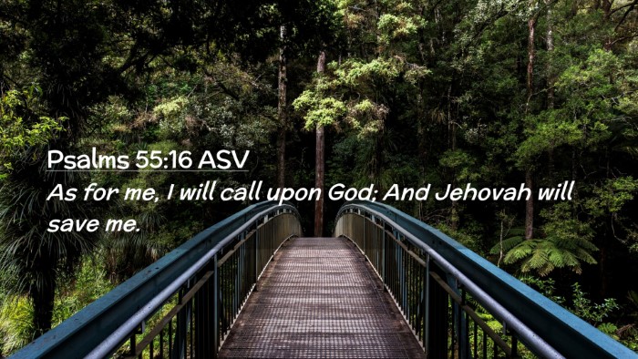 Picture 02 - Psalms 55:16 ASV Desktop Wallpaper - As for me, I will call upon God; And Jehovah will - Desktop Bible Verse Wallpaper