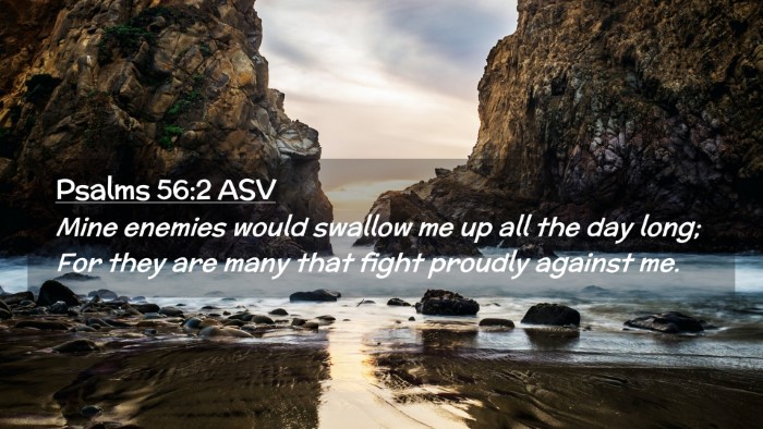 Picture 02 - Psalms 56:2 ASV Desktop Wallpaper - Mine enemies would swallow me up all the day - Desktop Bible Verse Wallpaper