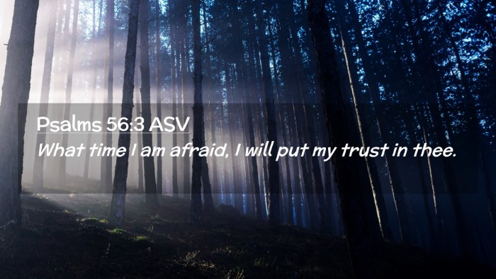 Picture 02 - Psalms 56:3 ASV Desktop Wallpaper - What time I am afraid, I will put my trust in - Desktop Bible Verse Wallpaper