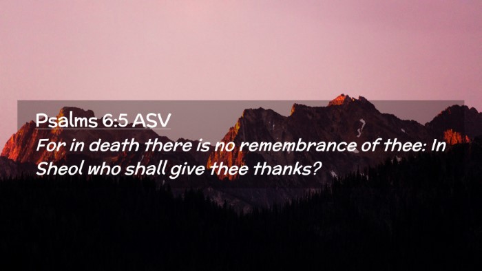 Picture 02 - Psalms 6:5 ASV Desktop Wallpaper - For in death there is no remembrance of thee: In - Desktop Bible Verse Wallpaper