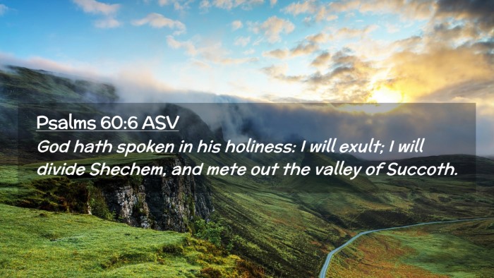 Picture 02 - Psalms 60:6 ASV Desktop Wallpaper - God hath spoken in his holiness: I will exult; I - Desktop Bible Verse Wallpaper