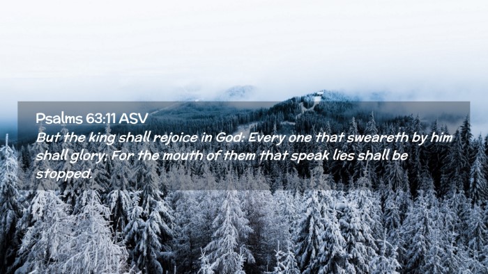 Picture 02 - Psalms 63:11 ASV Desktop Wallpaper - But the king shall rejoice in God: Every one that - Desktop Bible Verse Wallpaper
