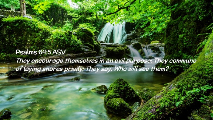 Picture 02 - Psalms 64:5 ASV Desktop Wallpaper - They encourage themselves in an evil purpose; - Desktop Bible Verse Wallpaper