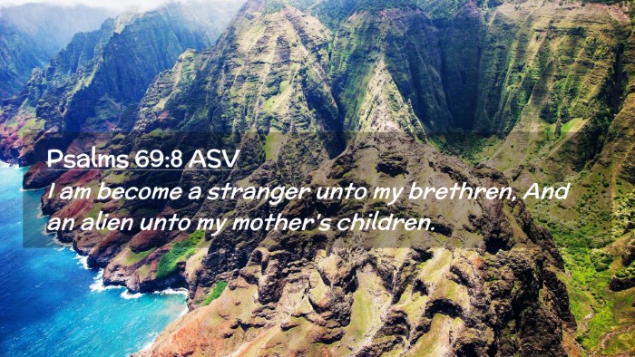 Picture 02 - Psalms 69:8 ASV Desktop Wallpaper - I am become a stranger unto my brethren, And an - Desktop Bible Verse Wallpaper