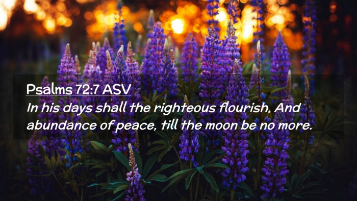 Picture 02 - Psalms 72:7 ASV Desktop Wallpaper - In his days shall the righteous flourish, And - Desktop Bible Verse Wallpaper