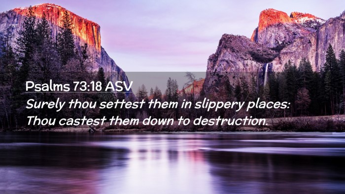 Picture 02 - Psalms 73:18 ASV Desktop Wallpaper - Surely thou settest them in slippery places: Thou - Desktop Bible Verse Wallpaper