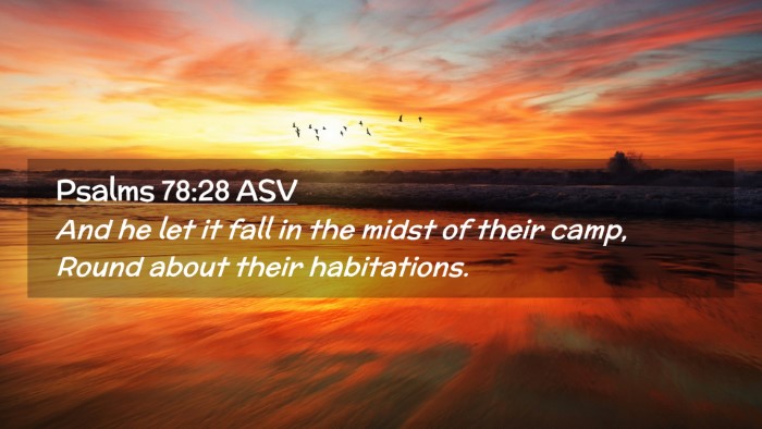 Picture 02 - Psalms 78:28 ASV Desktop Wallpaper - And he let it fall in the midst of their camp, - Desktop Bible Verse Wallpaper