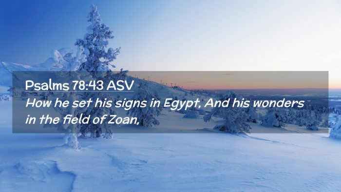 Picture 02 - Psalms 78:43 ASV Desktop Wallpaper - How he set his signs in Egypt, And his wonders in - Desktop Bible Verse Wallpaper