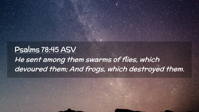 Picture 02 - Psalms 78:45 ASV Desktop Wallpaper - He sent among them swarms of flies, which - Desktop Bible Verse Wallpaper