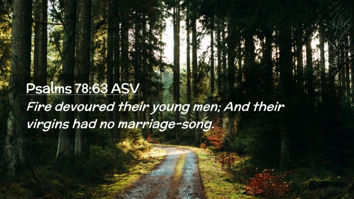 Picture 02 - Psalms 78:63 ASV Desktop Wallpaper - Fire devoured their young men; And their virgins - Desktop Bible Verse Wallpaper