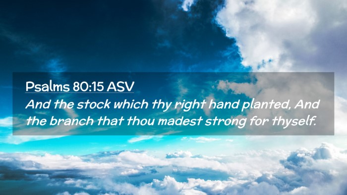 Picture 02 - Psalms 80:15 ASV Desktop Wallpaper - And the stock which thy right hand planted, And - Desktop Bible Verse Wallpaper