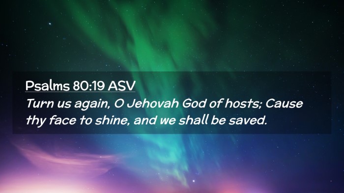 Picture 02 - Psalms 80:19 ASV Desktop Wallpaper - Turn us again, O Jehovah God of hosts; Cause thy - Desktop Bible Verse Wallpaper