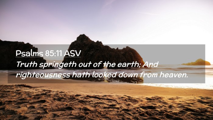 Picture 02 - Psalms 85:11 ASV Desktop Wallpaper - Truth springeth out of the earth; And - Desktop Bible Verse Wallpaper