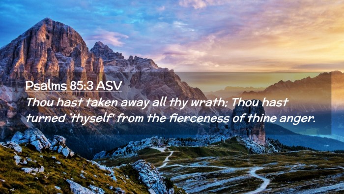 Picture 02 - Psalms 85:3 ASV Desktop Wallpaper - Thou hast taken away all thy wrath; Thou hast - Desktop Bible Verse Wallpaper