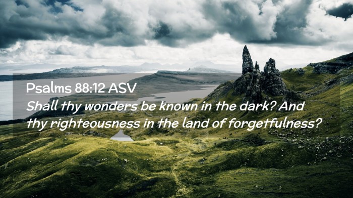 Picture 02 - Psalms 88:12 ASV Desktop Wallpaper - Shall thy wonders be known in the dark? And thy - Desktop Bible Verse Wallpaper