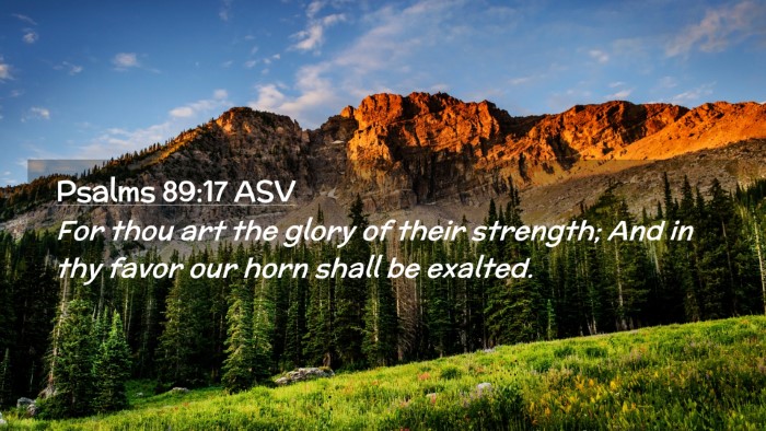 Picture 02 - Psalms 89:17 ASV Desktop Wallpaper - For thou art the glory of their strength; And in - Desktop Bible Verse Wallpaper