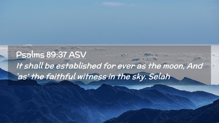 Picture 02 - Psalms 89:37 ASV Desktop Wallpaper - It shall be established for ever as the moon, And - Desktop Bible Verse Wallpaper
