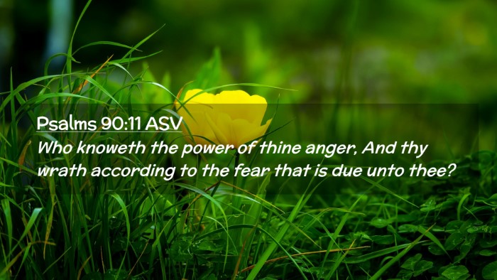 Picture 02 - Psalms 90:11 ASV Desktop Wallpaper - Who knoweth the power of thine anger, And thy - Desktop Bible Verse Wallpaper