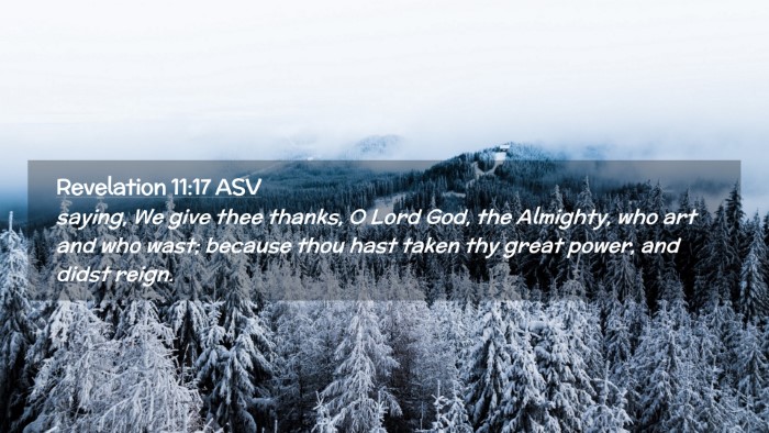 Picture 02 - Revelation 11:17 ASV Desktop Wallpaper - saying, We give thee thanks, O Lord God, the - Desktop Bible Verse Wallpaper