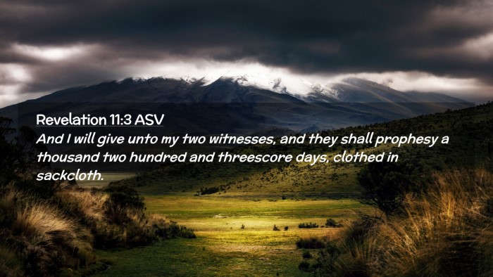 Picture 02 - Revelation 11:3 ASV Desktop Wallpaper - And I will give unto my two witnesses, and they - Desktop Bible Verse Wallpaper