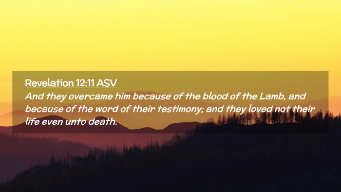 Picture 02 - Revelation 12:11 ASV Desktop Wallpaper - And they overcame him because of the blood of the - Desktop Bible Verse Wallpaper