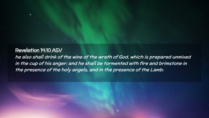 Picture 02 - Revelation 14:10 ASV Desktop Wallpaper - he also shall drink of the wine of the wrath of - Desktop Bible Verse Wallpaper