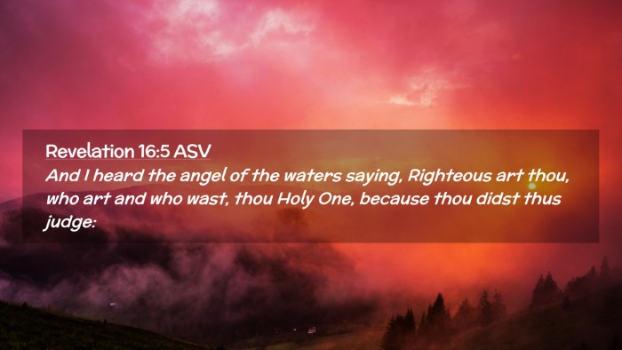 Picture 02 - Revelation 16:5 ASV Desktop Wallpaper - And I heard the angel of the waters saying, - Desktop Bible Verse Wallpaper