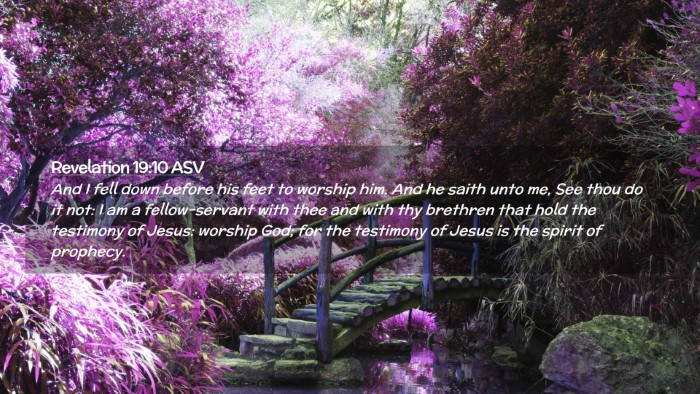 Picture 02 - Revelation 19:10 ASV Desktop Wallpaper - And I fell down before his feet to worship him. - Desktop Bible Verse Wallpaper